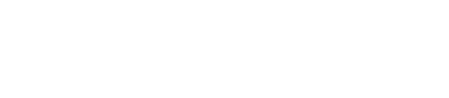 APPEX BALANCE
